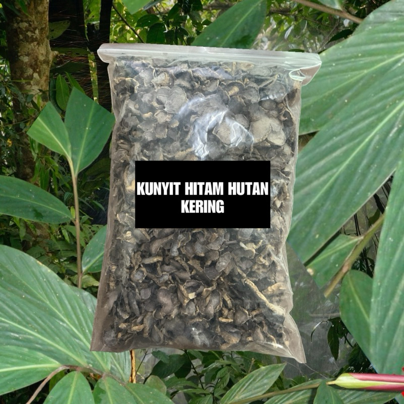 KUNYIT HITAM KERING HUTAN 10g | Shopee Malaysia