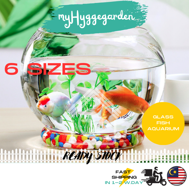 [GLASS] Transparent Round Clear Glass Fish Bowl Aquarium Home Office ...