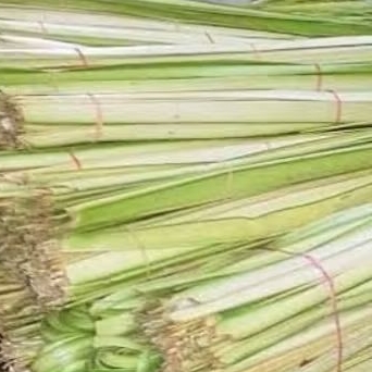 Daun kelapa(30 keping)Gred A, besar,segar,menarik,untuk musim perayaan ...