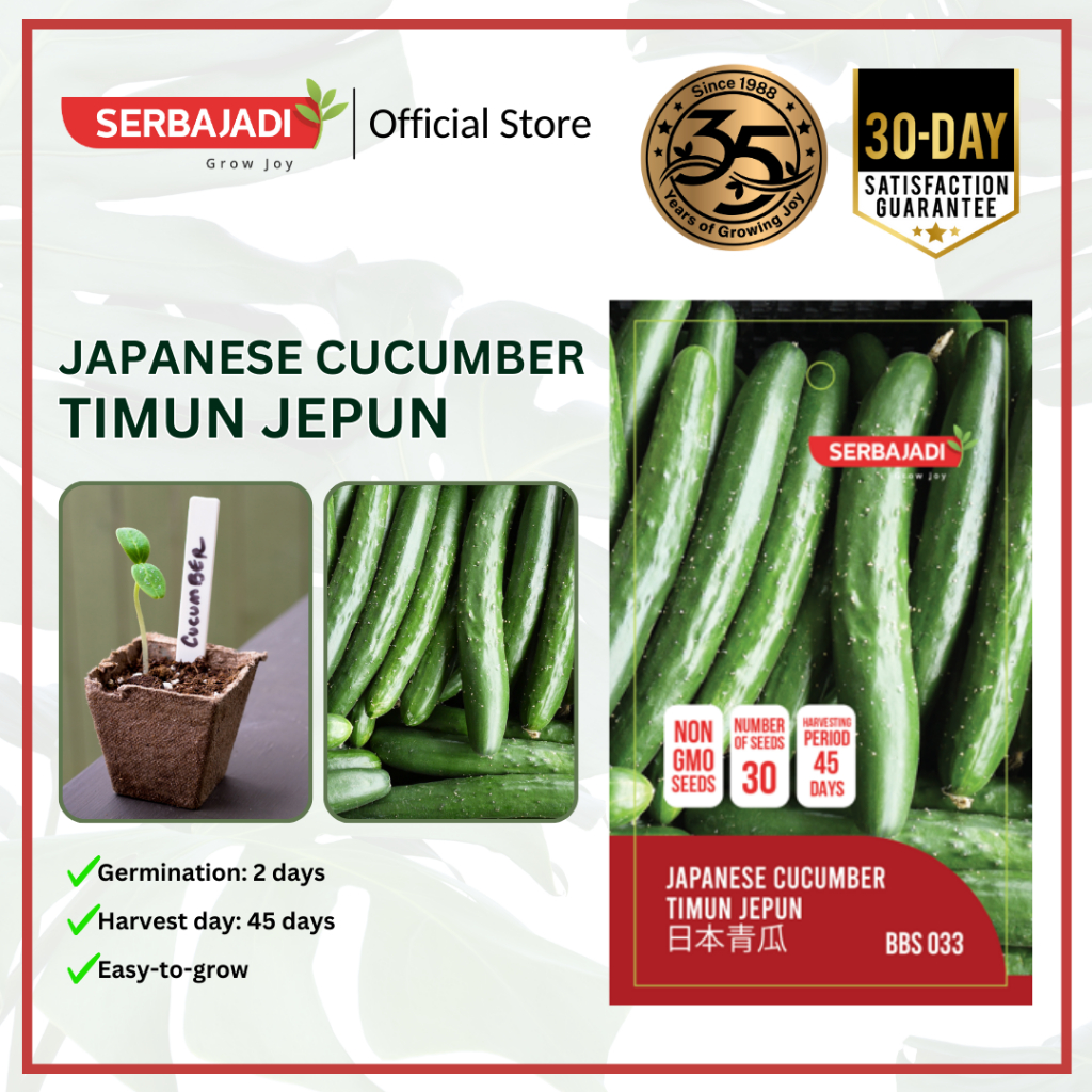 Serbajadi Vegetable Seed Japanese Cucumber | Creeping Planting | Long ...