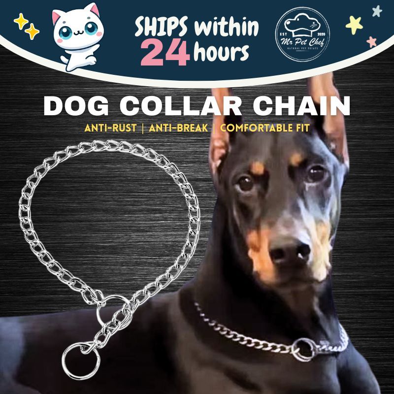 MR PET CHEF Stainless Steel Dog Collar Dog Choke Chain Slip Chain ...