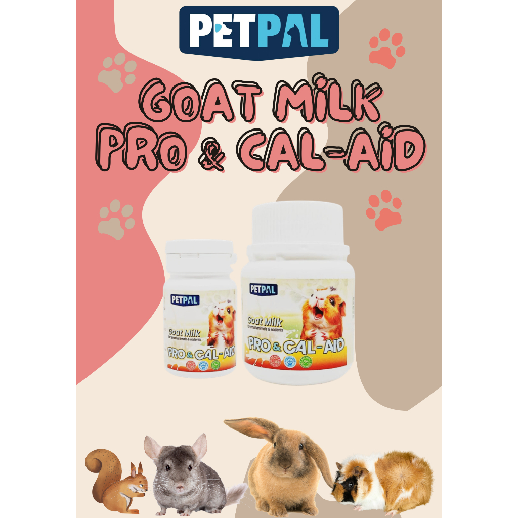 Best Milk Replacers For Guinea Pigs With Calcium Needs Review