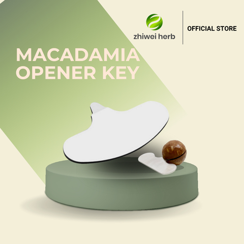 Opener/Kunci - Pembuka Macadamia - Key to open Macadamia Nut 锁匙 ...