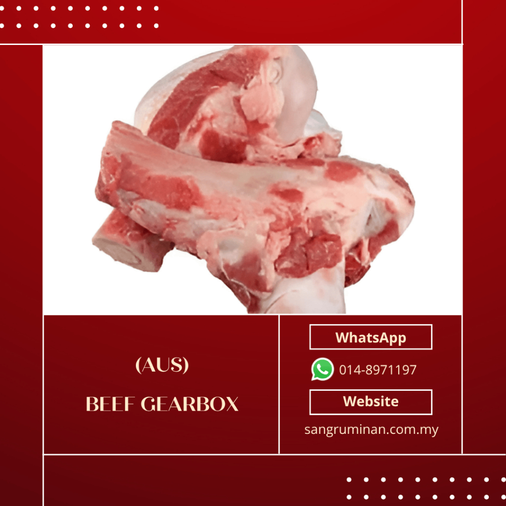 (AUS) Gearbox / Beef Bone Marrow per 1pcs | Shopee Malaysia