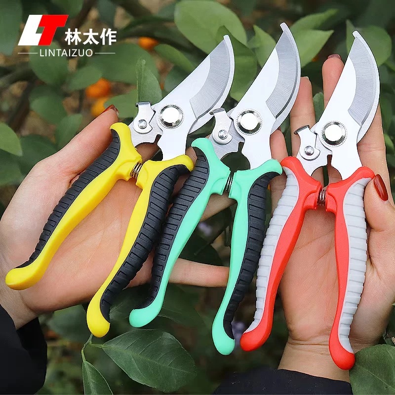Kemahiran mencantas bunga Gunting berkebun | Gunting pemangkasan ...