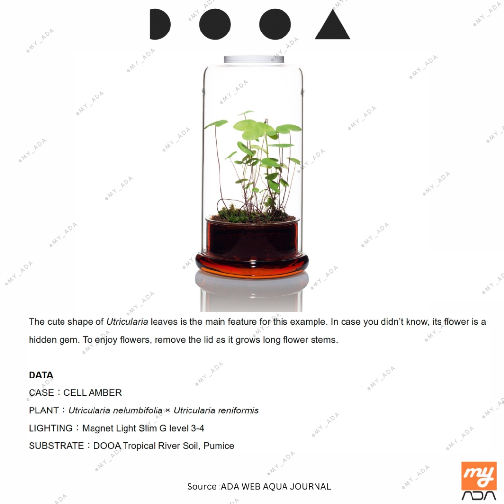DOOA Magnet Light G Slim Aquarium Lighting/Paludarium Lighting