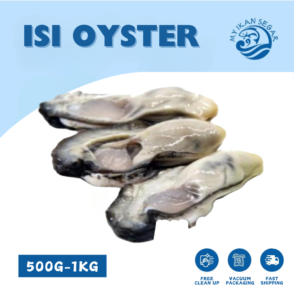 ISI OYSTER 500G/1KG ISI OYSTER FROZEN FOOD OYSTER SEAFOOD FROZEN ...