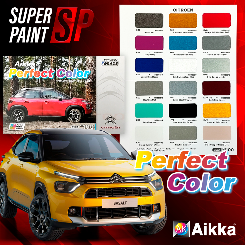 Aikka Perfect Color Chart No100 CITROEN 2K Paint Touch Up Paint Touch ...