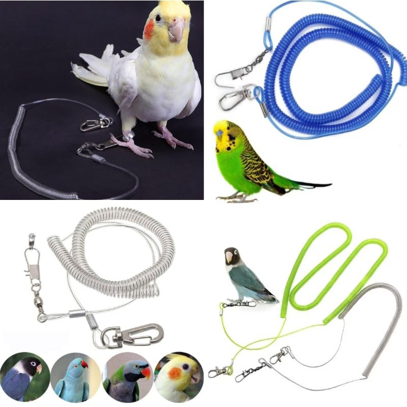 🔥Ready Stock🔥parrot flying rope | Shopee Malaysia