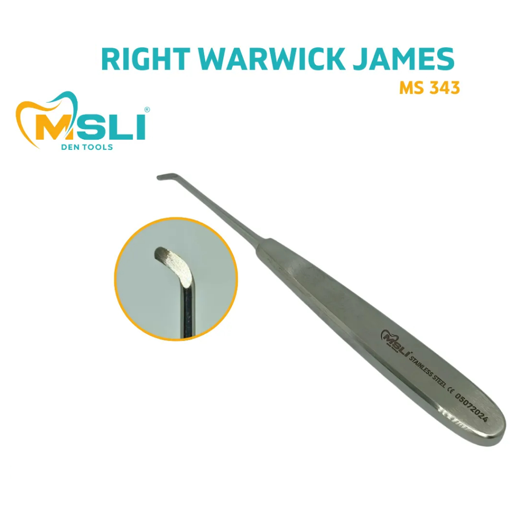 (MS-343) - RIGHT WARWICK JAMES | Shopee Malaysia
