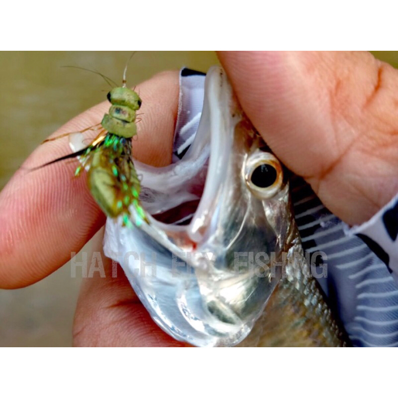 Fly lures ~ Floating Mudeye | Shopee Malaysia