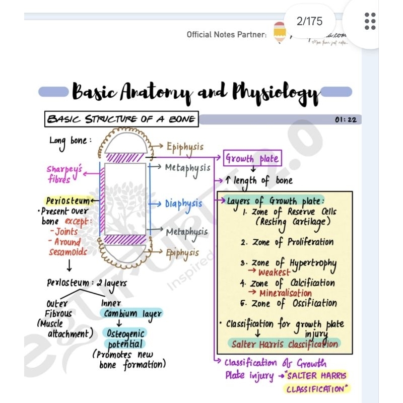 High Yield Orthopaedics Notes for mbbs students | Shopee Malaysia