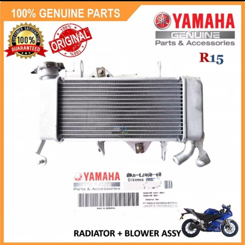 YAMAHA R15 R15M YZR15 MT15 RADIATOR COMP. WATER COOLANT [BK6-E2461-00 ...