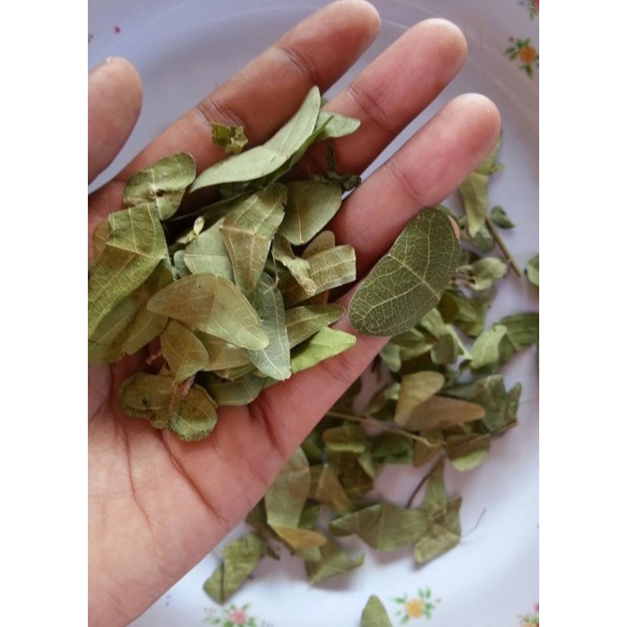 Daun Rerama Hijau Kering Fresh {produk poklie rerama) | Shopee Malaysia