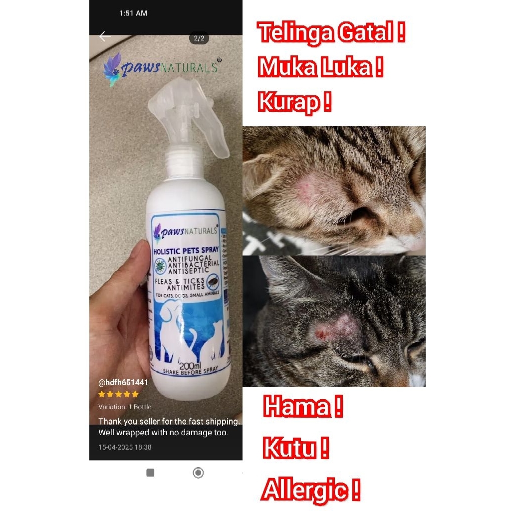 Beautiful view of Natural Dog Tick Allergy Relief