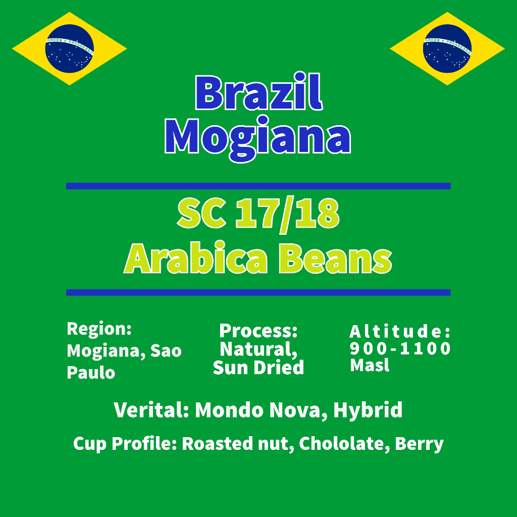 META Coffee Brazil Mogiana SC 17/18 Arabica Roasted Coffee Beans ...
