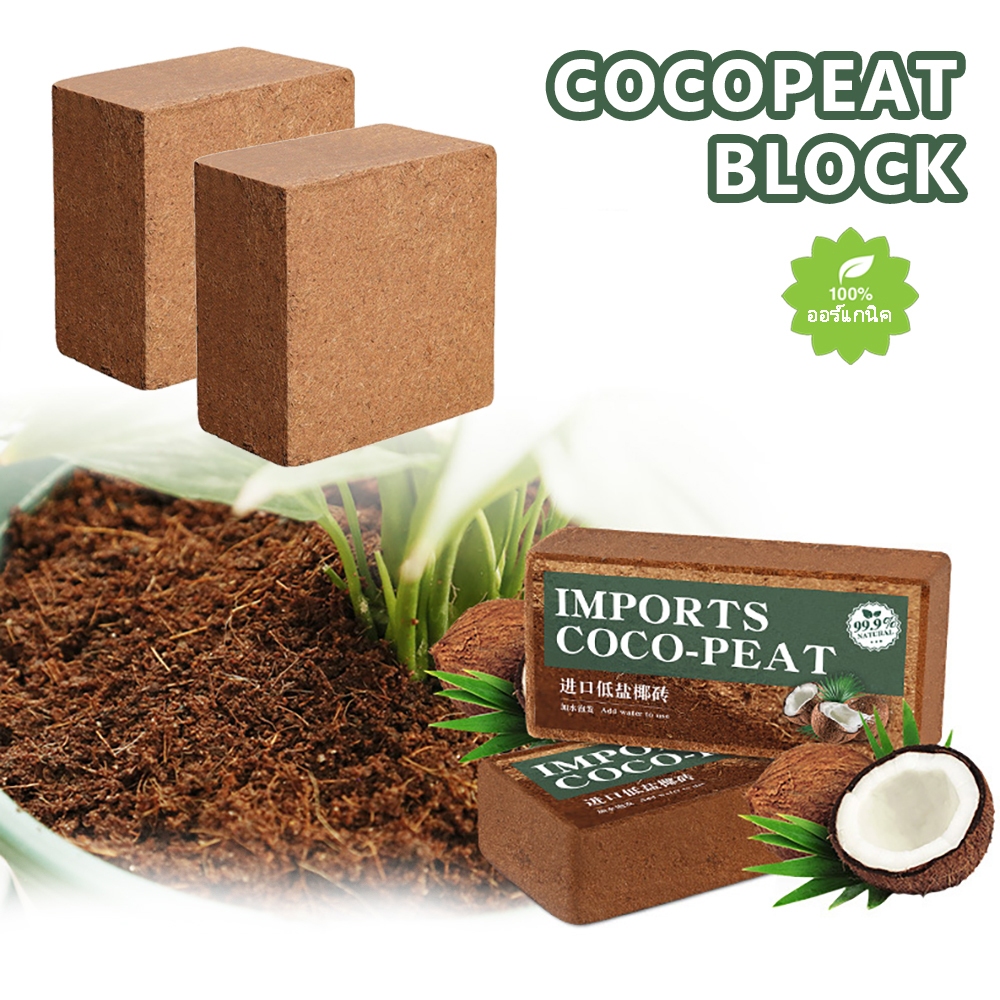Premium🔥500g Cocopeat Block Nutrient Soil Compressed Cocopeat Brick ...
