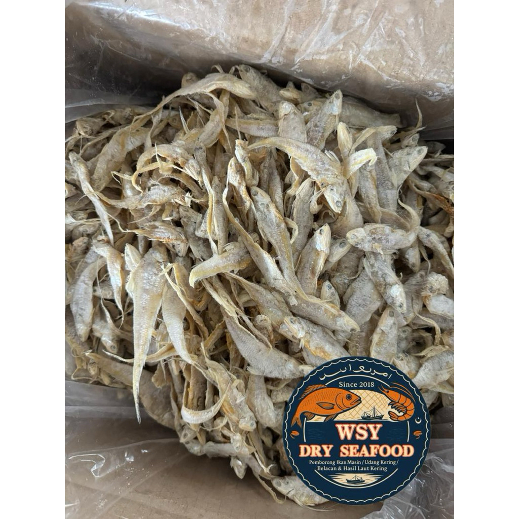 Ikan Masin Bulu Ayam 500g | Shopee Malaysia