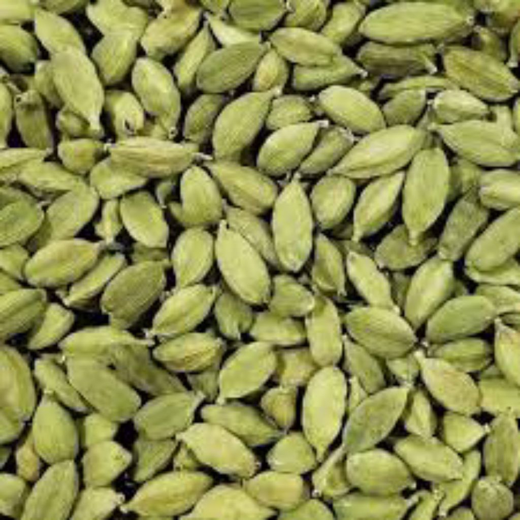 Green Cardamom, /Buah Plaga Hijau(sabz ellachi) ,480Grm | Shopee Malaysia