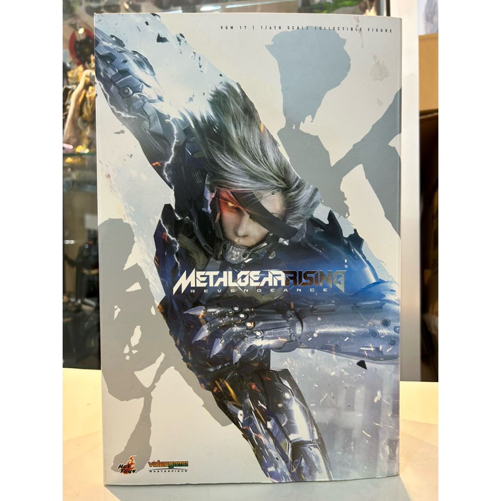 Hot Toys 1/6 VGM17 Metal Gear Rising: Revengeance: Raiden Collectible ...