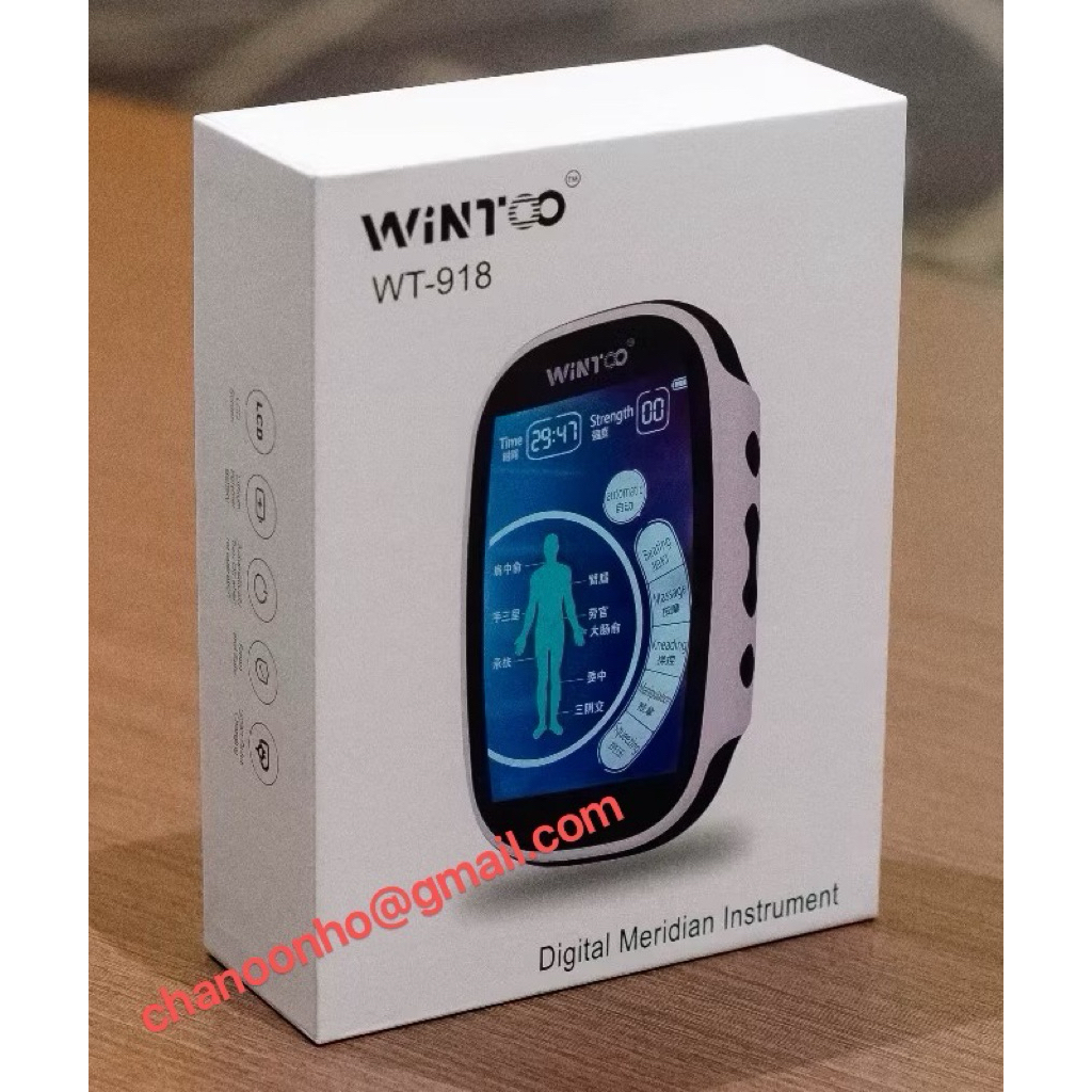 WINTOO WT-918 DIGITAL MERIDIAN INSTRUMENT TENS / Digital Physiotherapy ...