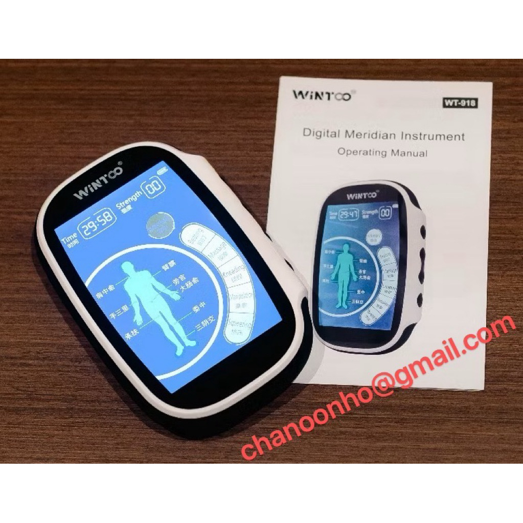WINTOO WT-918 DIGITAL MERIDIAN INSTRUMENT- WT918 / TENS / Digital ...