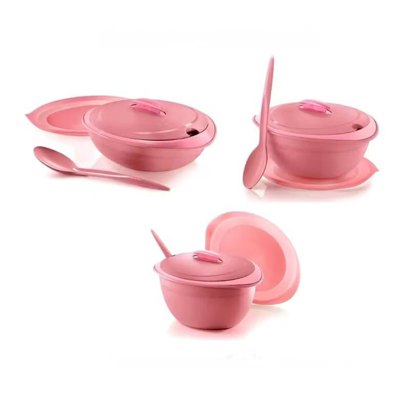 Tupperware Insulated Server Full Level set (6pcs) & 3 Spoon | Shopee ...