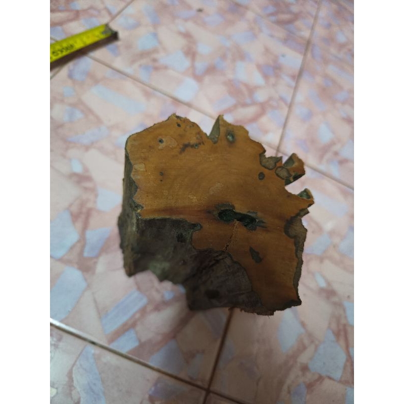 Raja kayu bukan jenis damar minyak | Shopee Malaysia
