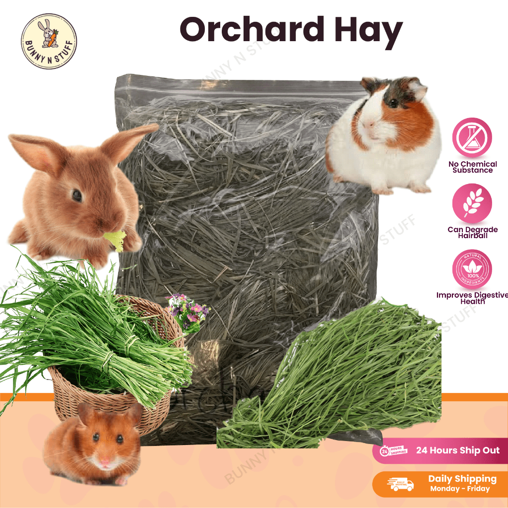 Premium Orchard Hay 💚500g💚 rabbit chinchilla guinea pig | Shopee Malaysia