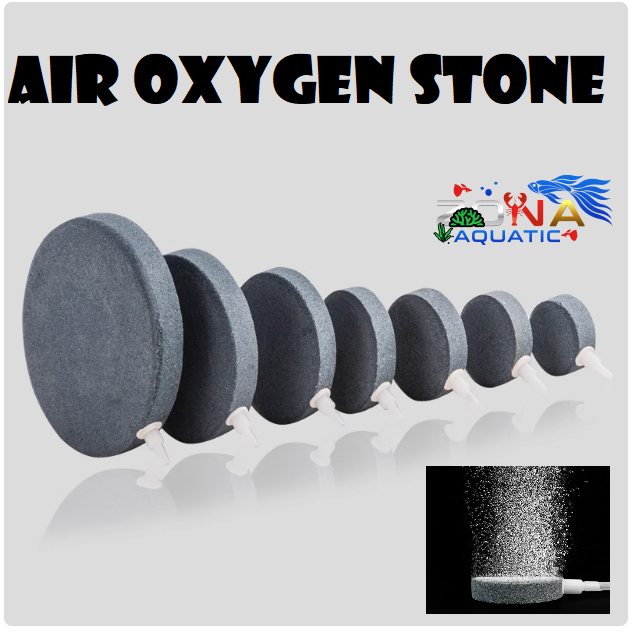 READY STOCK | AIR PLATE STONE | OXYGEN PLATE ROUND STONE | FLAT | FOR ...