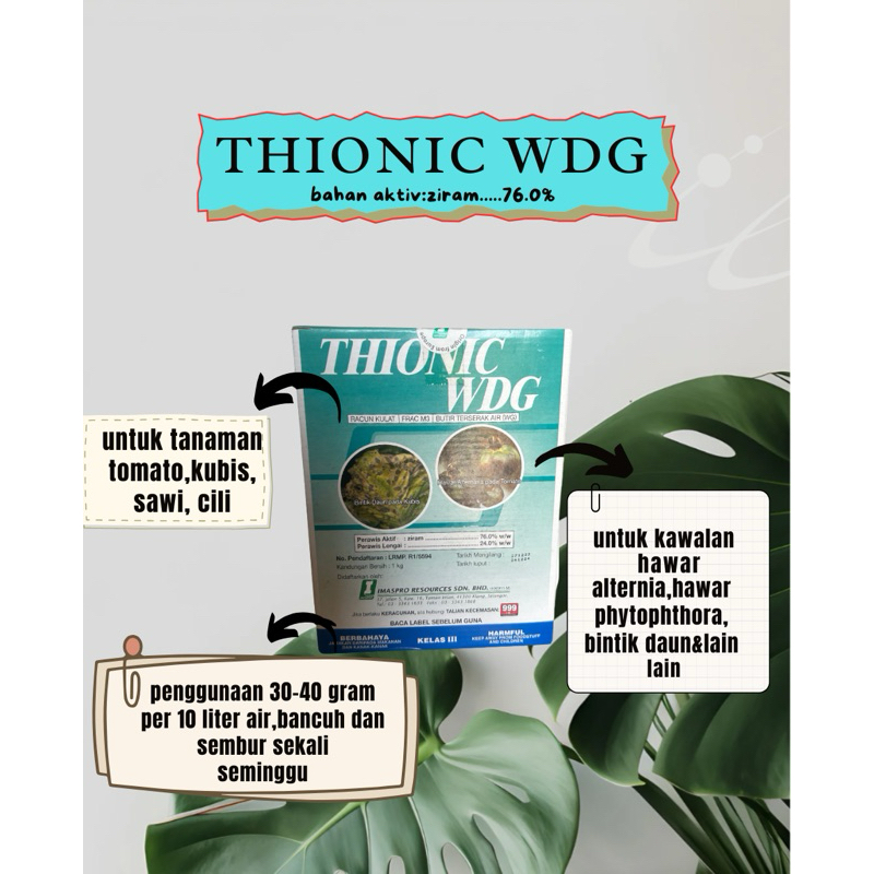 1KG THIONIC WDG IMASPRO ZIRAM FUNGICIDE/RACUN KULAT HAWAR BINTIK DAUN ...