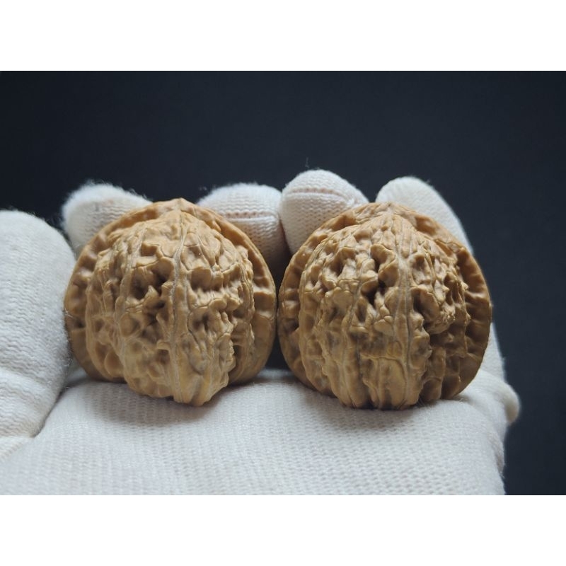 2842-4 白狮子三角白文玩核桃一物一拍| Shopee Malaysia