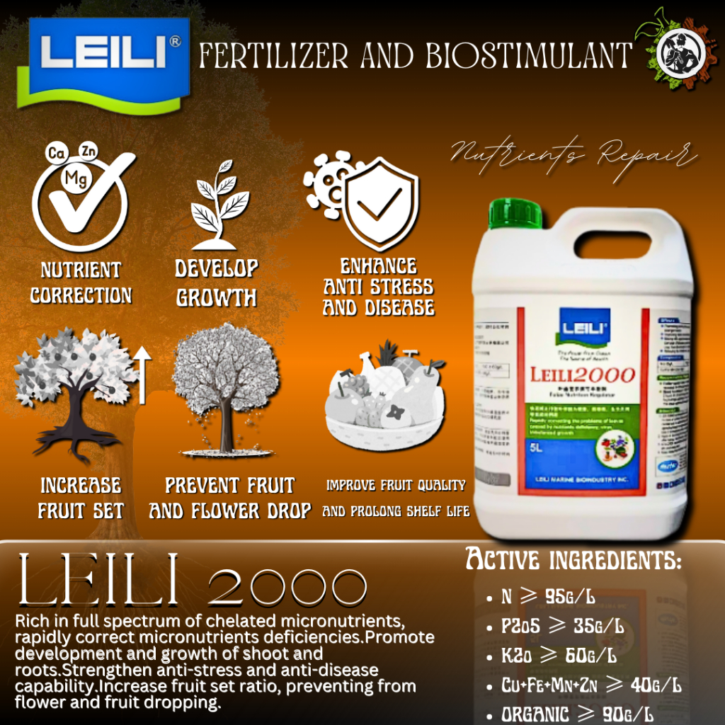 LEILI 2000 4l Stronger Leave Seaweed Extract Foliar Fertilizer ...