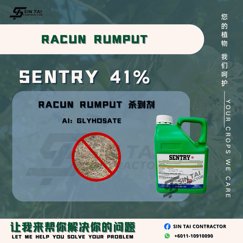 【4LT/20LT】SENTRY Glyphosate 41% Weed Killer Racun Rumpai sama Roundup ...