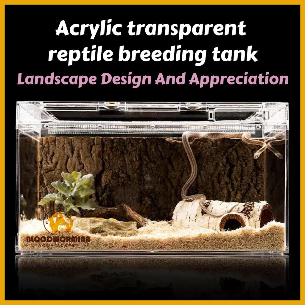 Barbarous Growth Reptile Breeding Box Acrylic Reptile herp Box Shelther ...