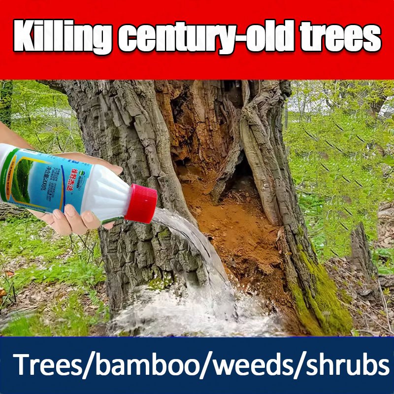 Racun Pokok Kayu Besar Racun Lalang Mati Akar Weed Tree Killer Racun ...