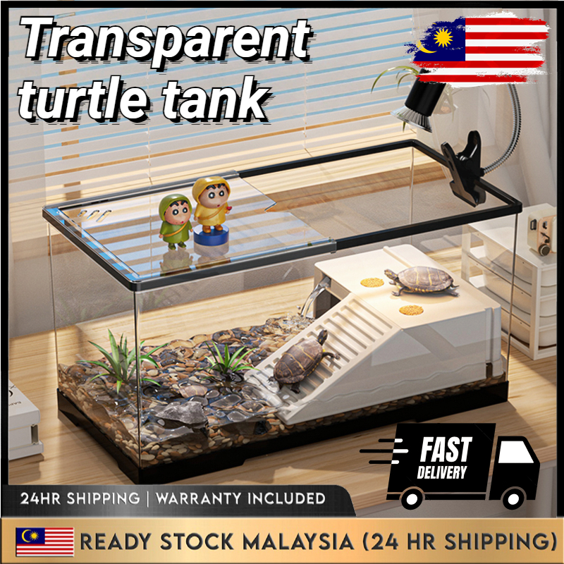 Ecological sea turtle breeding pool transparent landscape sea turtle ...