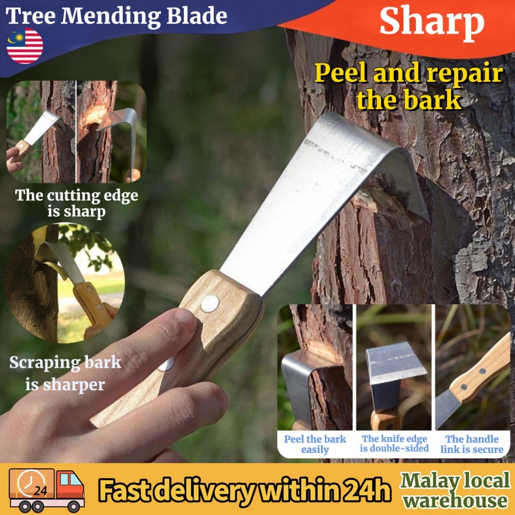 Multifunctional Manganese Steel Bark Scraper Fruit Tree Rot Scraper ...