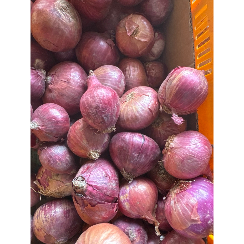 bawang merah india onion red india gred a 1 kg | Shopee Malaysia