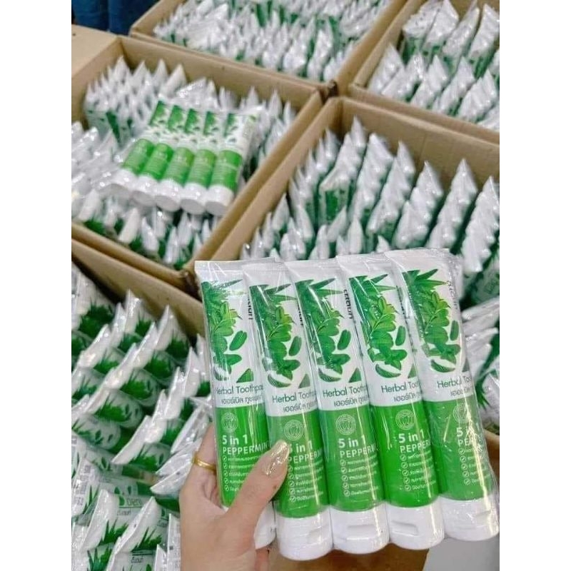 D.Dent Herbal Toothpaste 5 in 1 peppermint (100g 1pcs ) | Shopee Malaysia