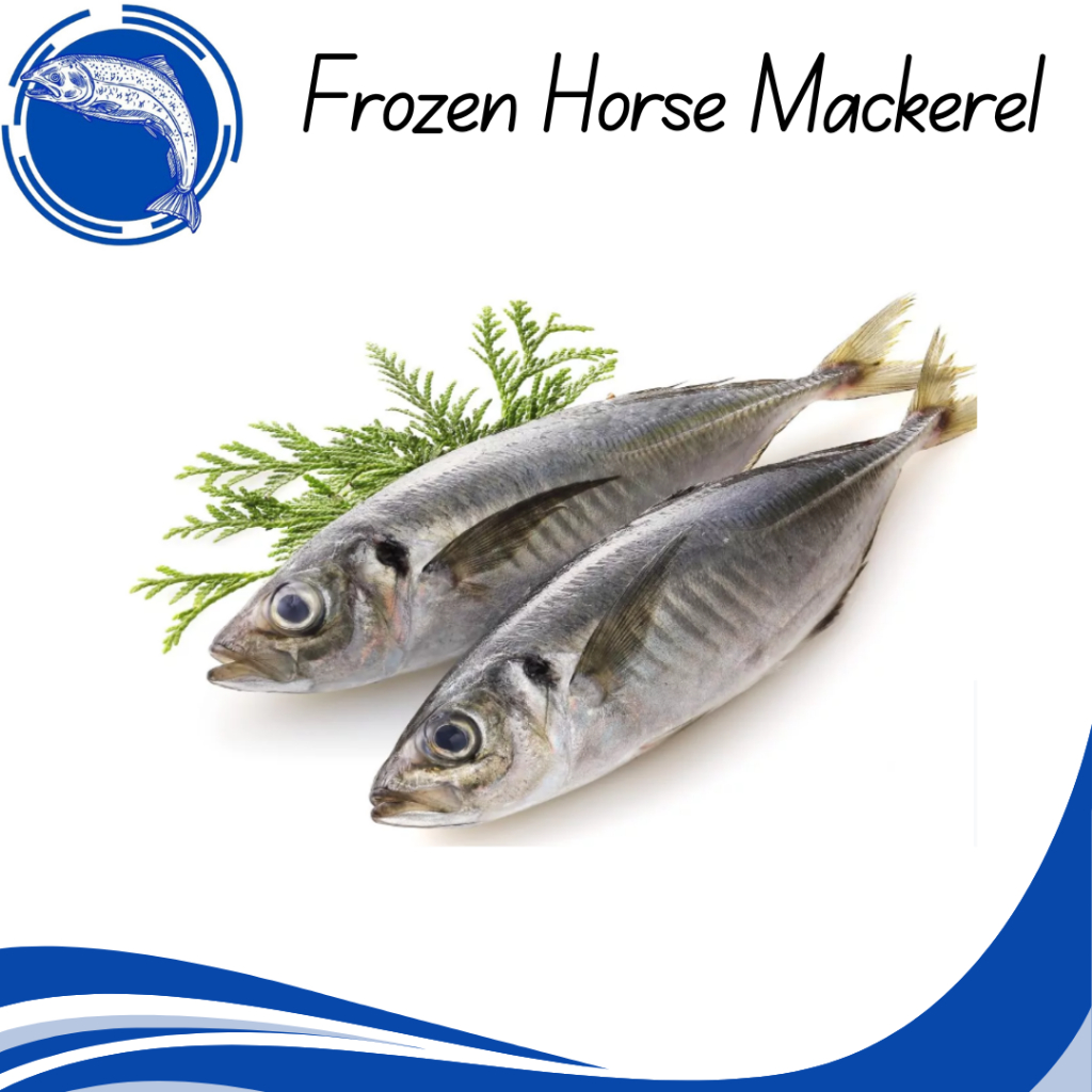 🔥Hari Ray Sales🔥 Ikan Cencaru | Frozen Horse Mackerel | 硬尾鱼 [ 1KG ...