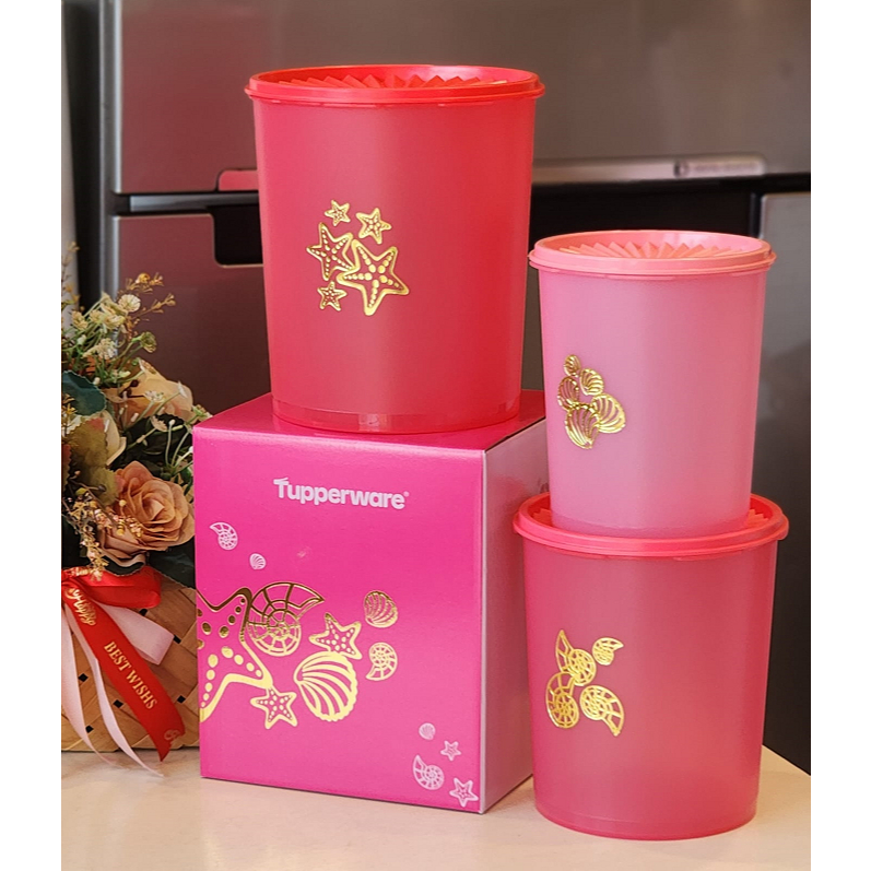 *1pc/2pcs/3pcs*Tupperware Seashells Deco Canister Set(2) or (3)With ...