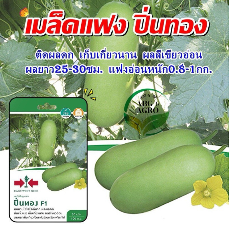 50Biji Benih Labu Air Pinthong F1 Hybrid /Labu Air Botol /Water Gourd ...