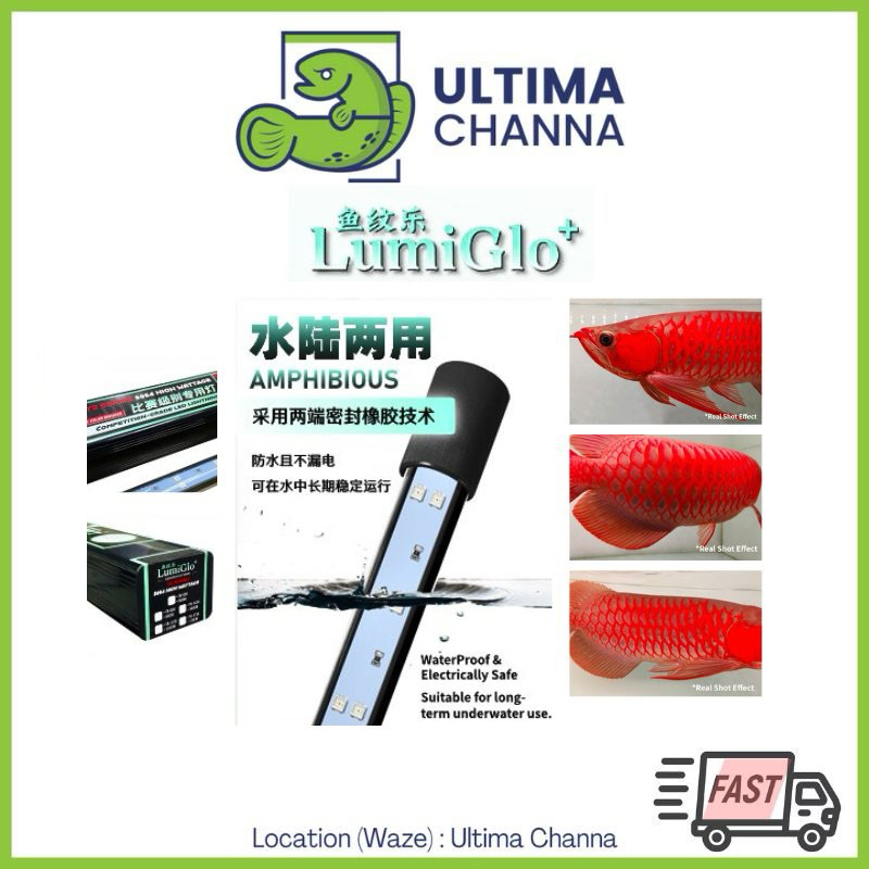 Lumiglo+ Competition Grade Aquarium LED Light LG+ for arowana goldfish ...