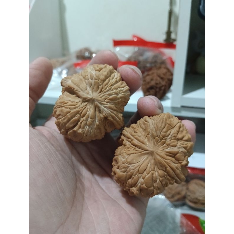 文玩核桃 悶墩 モントン 43mm 闷墩文玩核桃大尺核桃walnuts | Shopee Malaysia