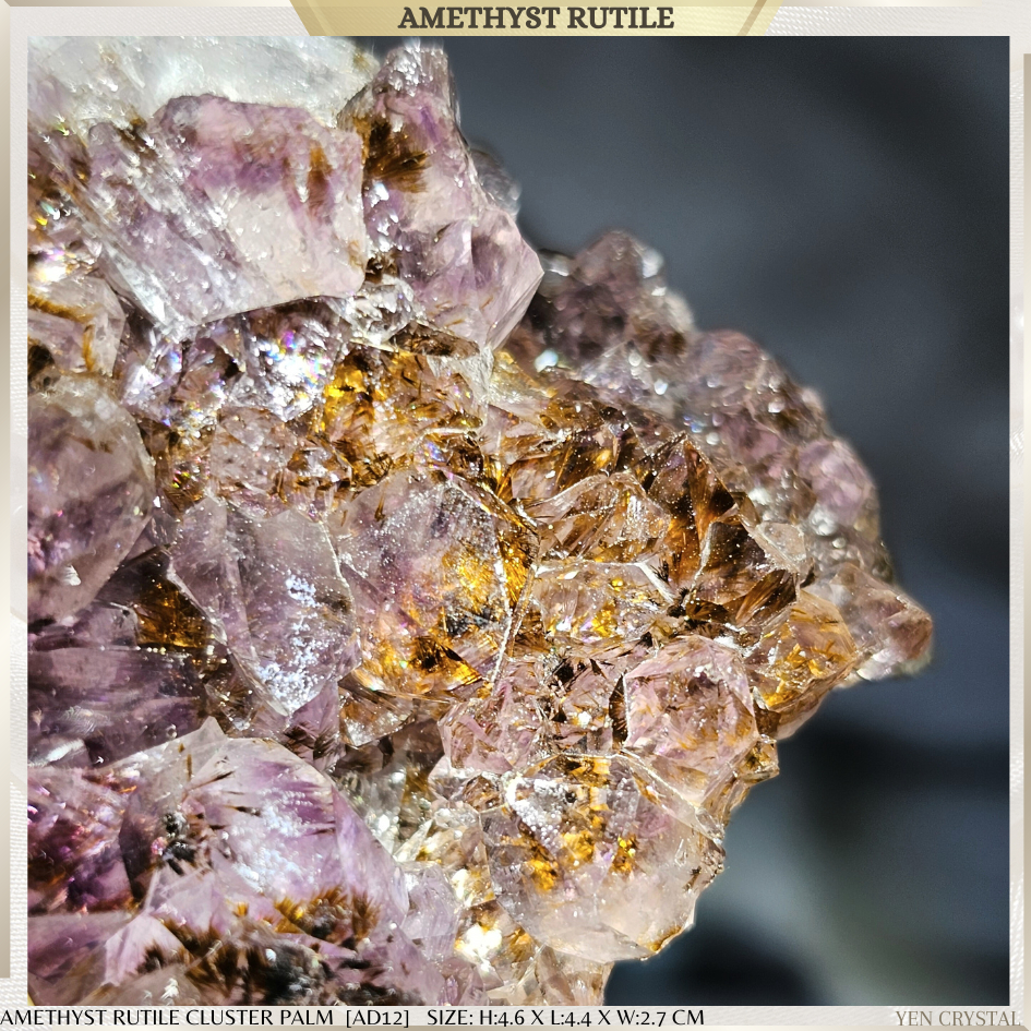 Amethyst Rutile Cluster *PREMIUM GRADE*BRAZIL [AD12] 1 PC Only ...