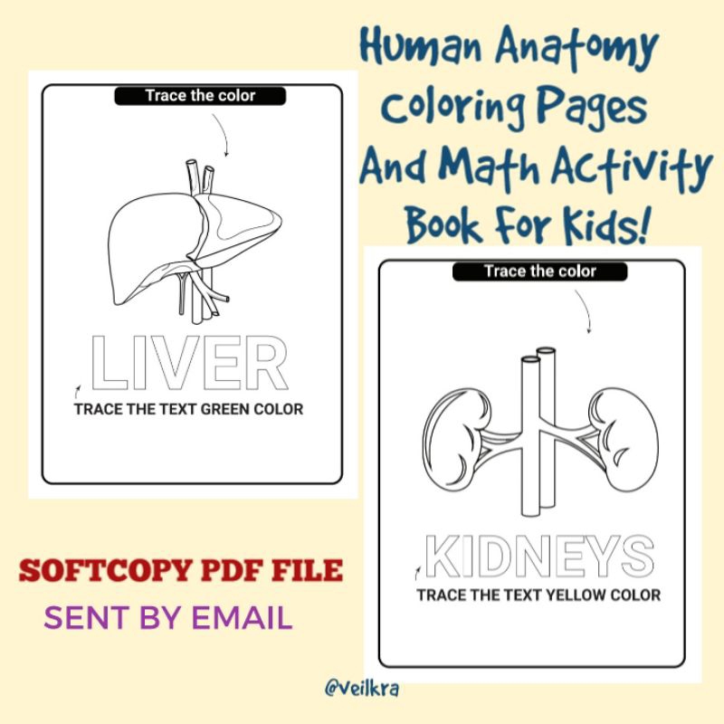 PDF Human Anatomy Coloring Pages And Math Activity For Kids! Bahan ...