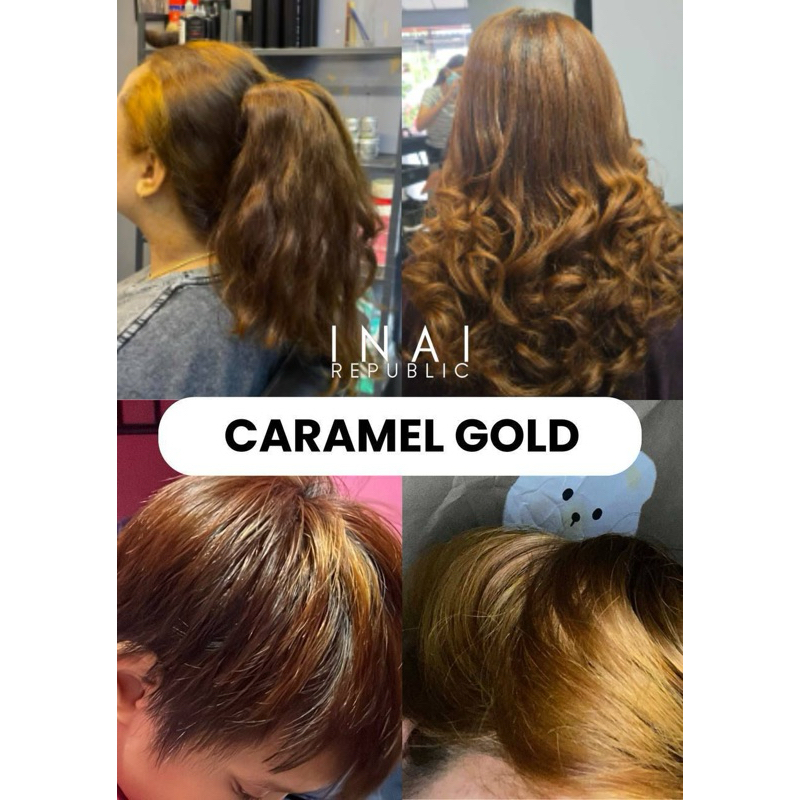 INAI PEWARNA RAMBUT/HENNA HAIR COLOUR INAI REPUBLIC/DYE HALAL | Shopee ...