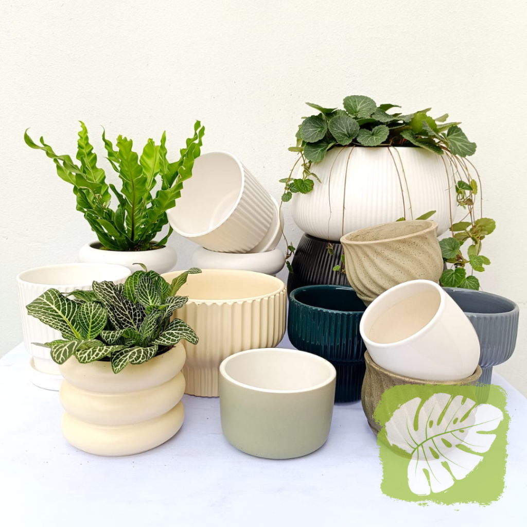 Pot Collection Series 6 IOB | Shopee Malaysia