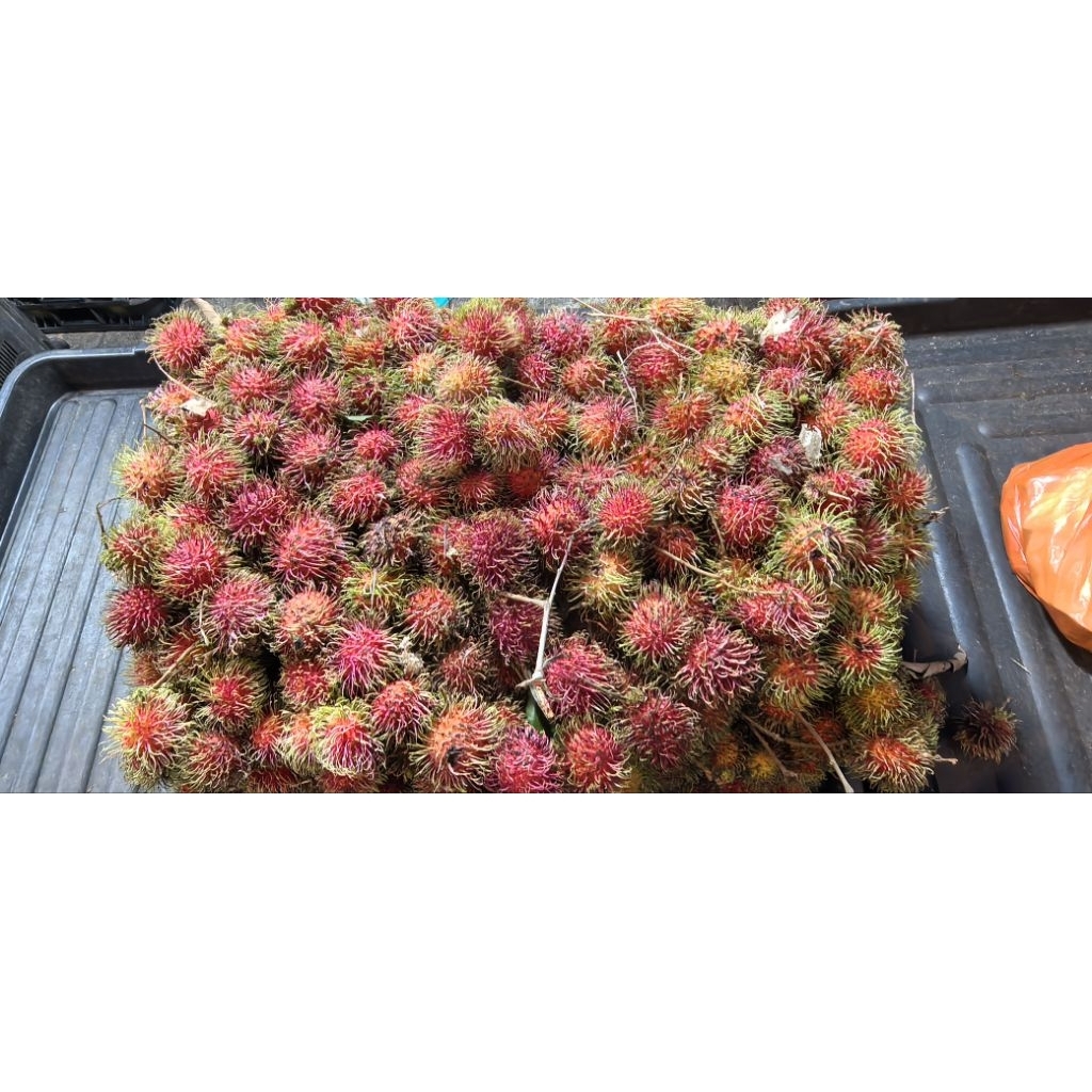 🔥LIMITED TIME🔥BUAH RAMBUTAN KAMPUNG 1KG RM8 | Shopee Malaysia